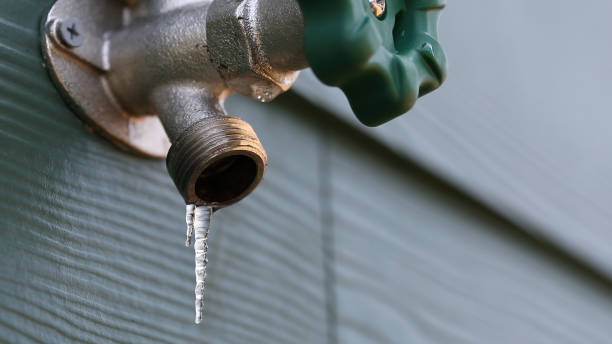 Best Shower Repair Services  in Bard College, NY